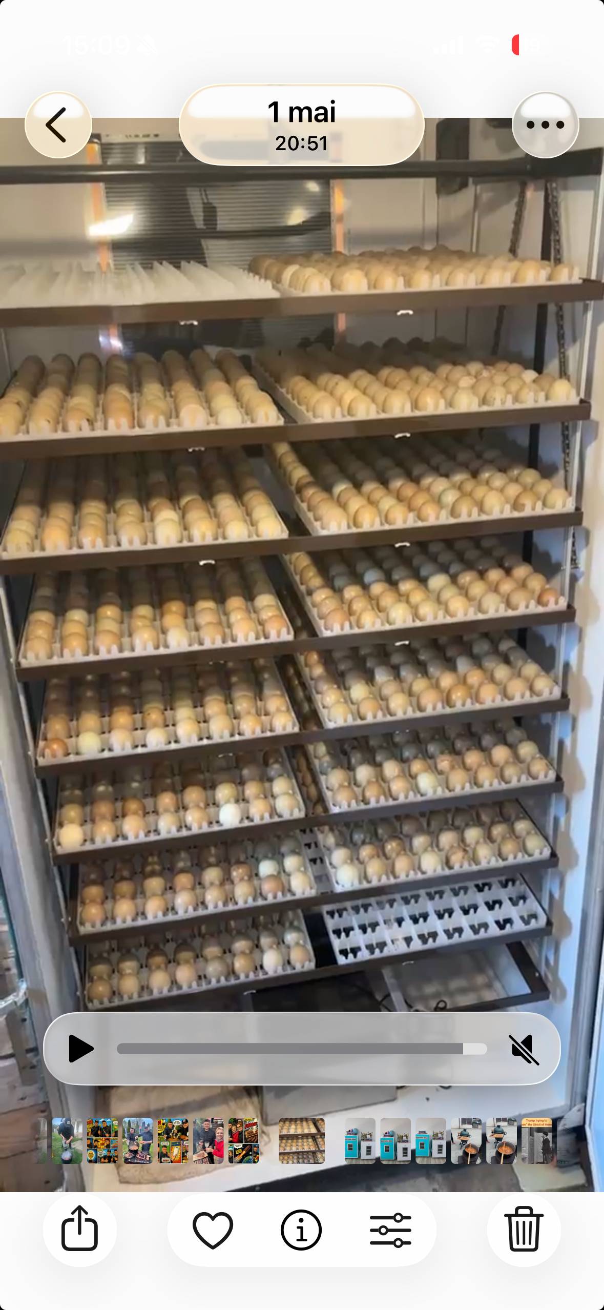 Incubator Fazan IP-9 - imaginea 4