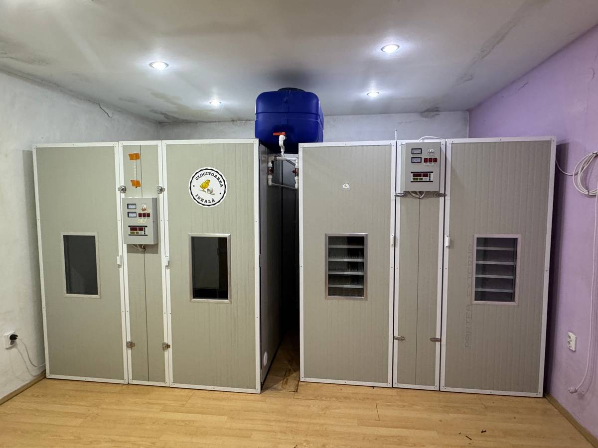 Incubator Industrial IP-2T12E - imaginea 3