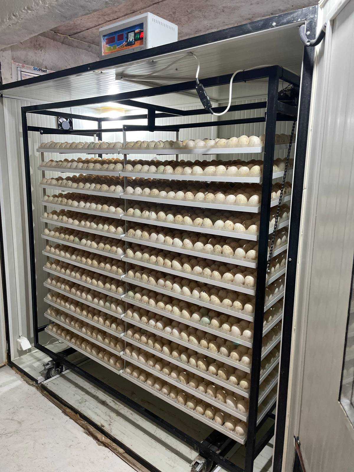Incubator Industrial IP-1T12E - imaginea 5