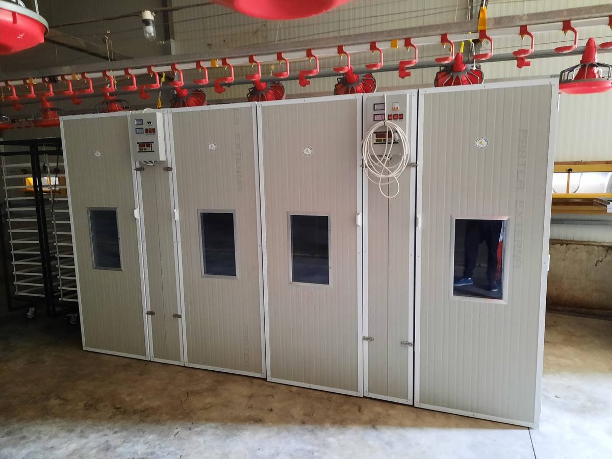 Incubator Industrial IP-2T12E - imaginea 5