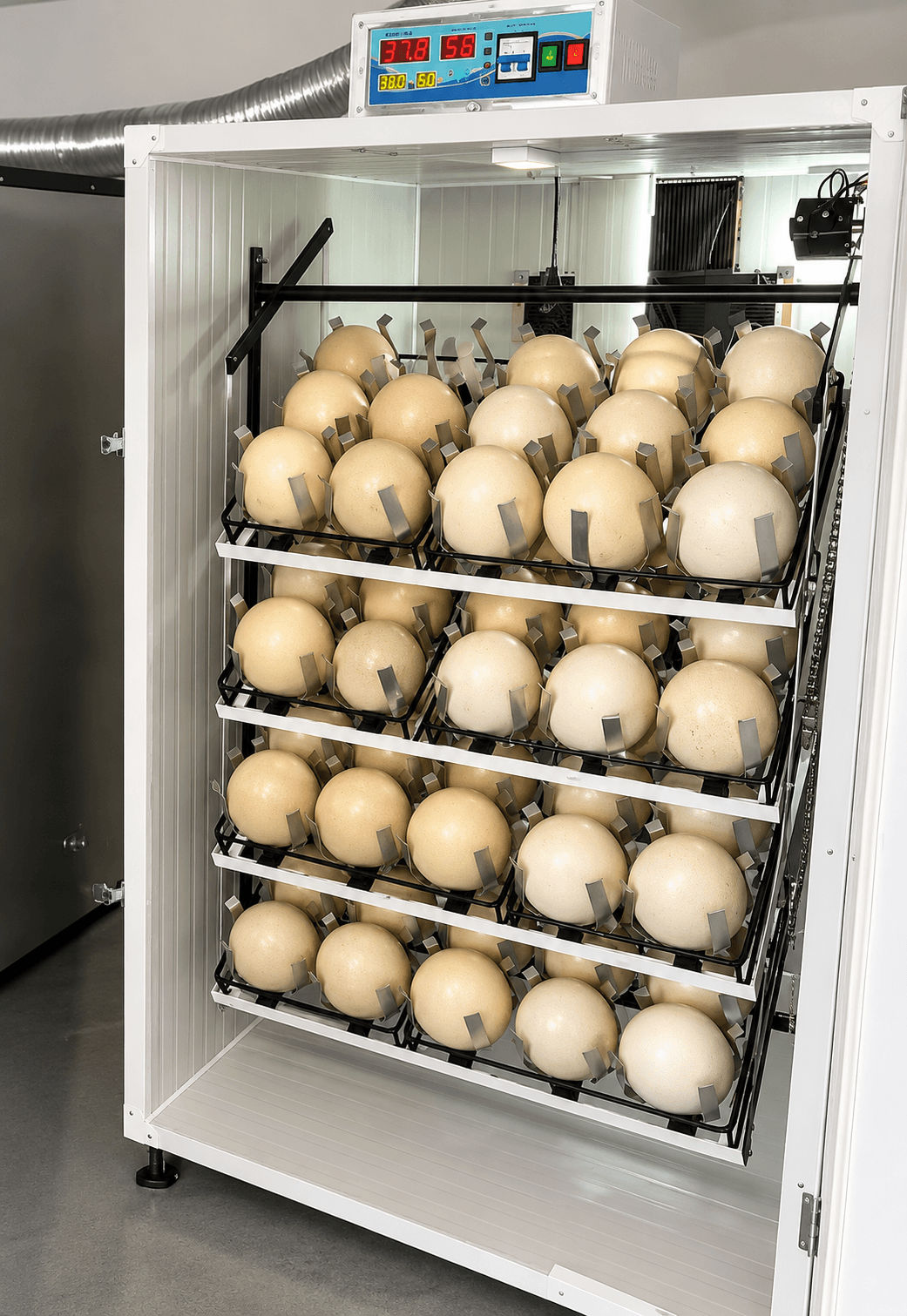 Incubator Ouă Struț S-60 - imaginea 1