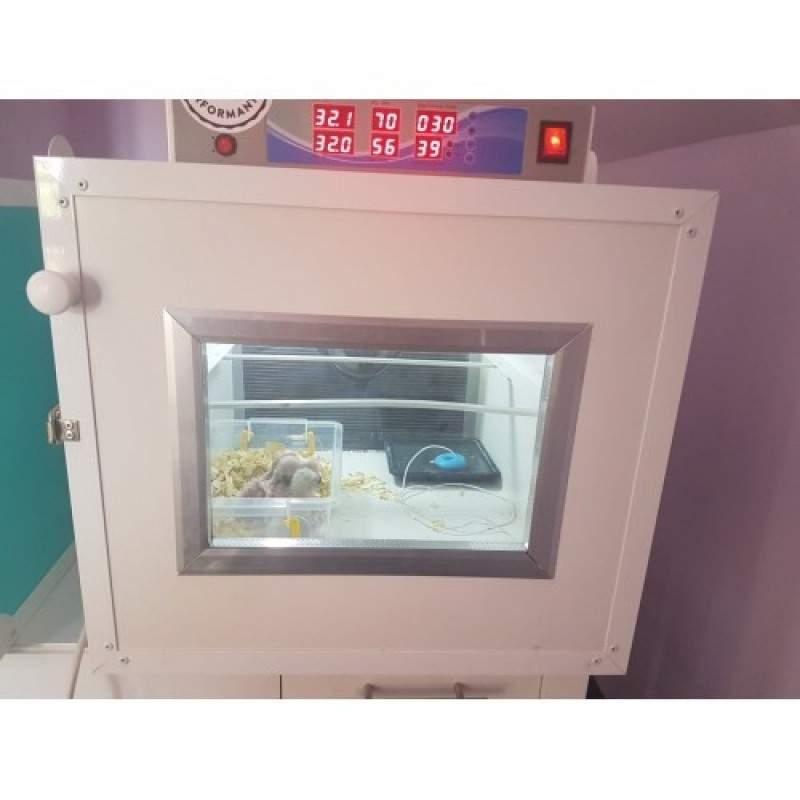 Incubator Papagali MIP-Nimfa